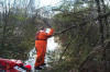 Allen clearing the trail for us.